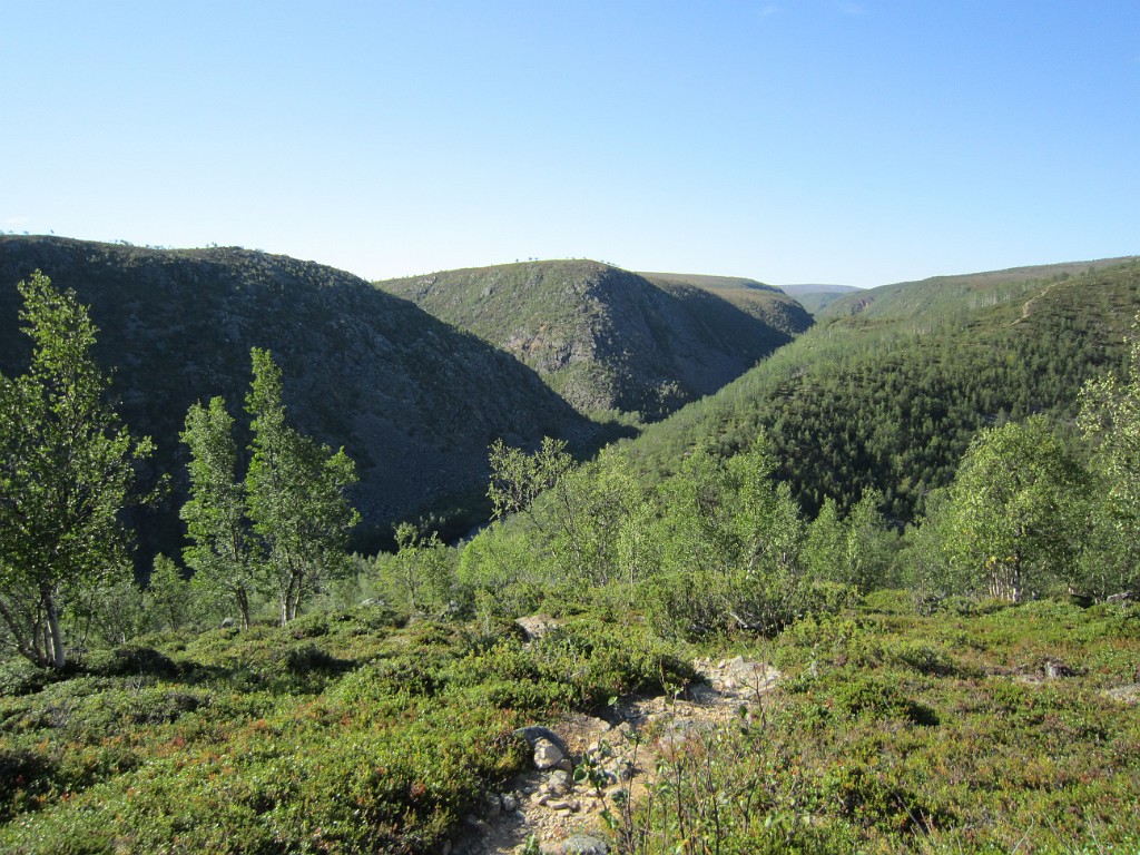 kesä 2011 349.jpg